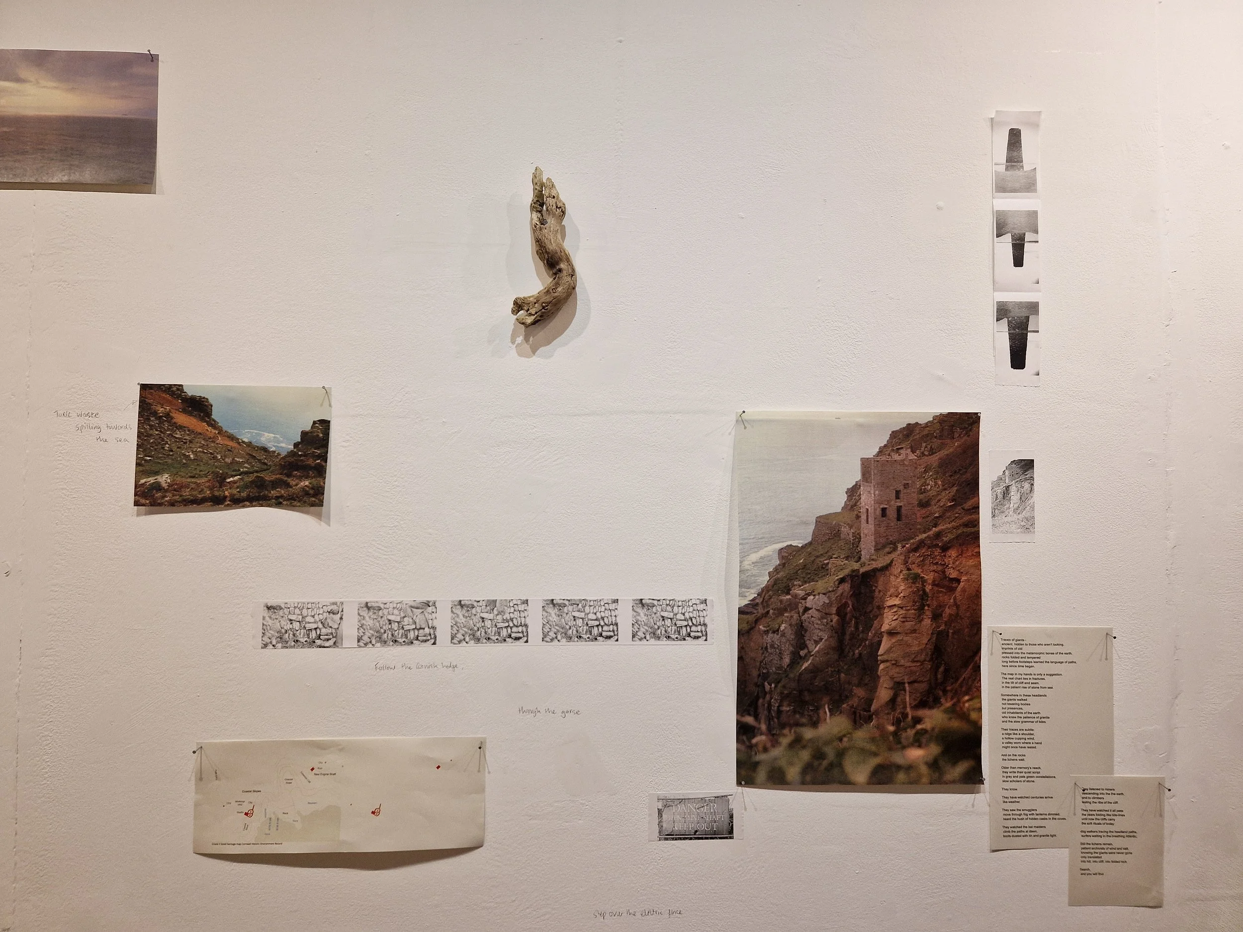 Landing TONER exhibtion Ella Thomson-15.jpg