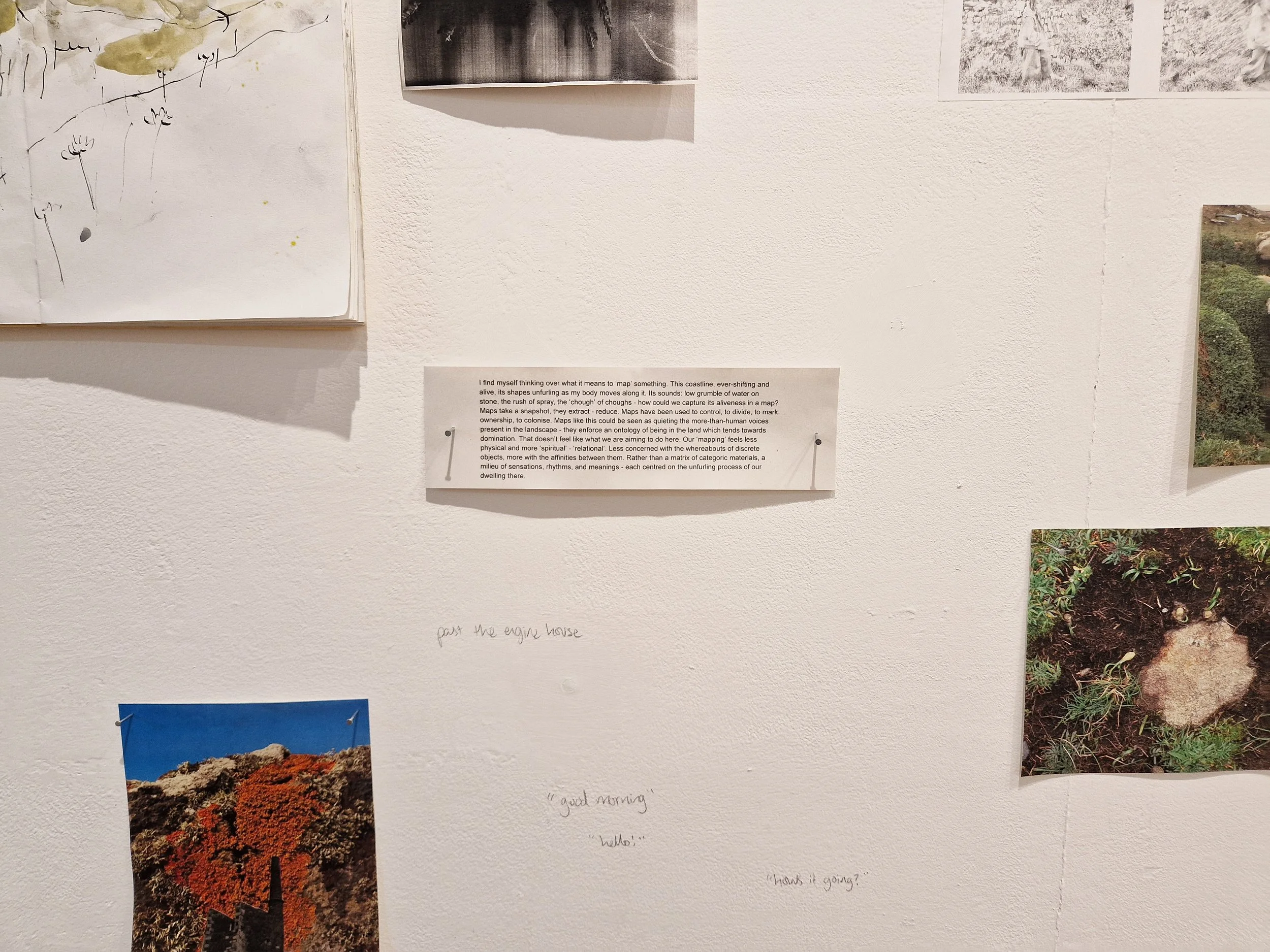 Landing TONER exhibtion Ella Thomson-09.jpg