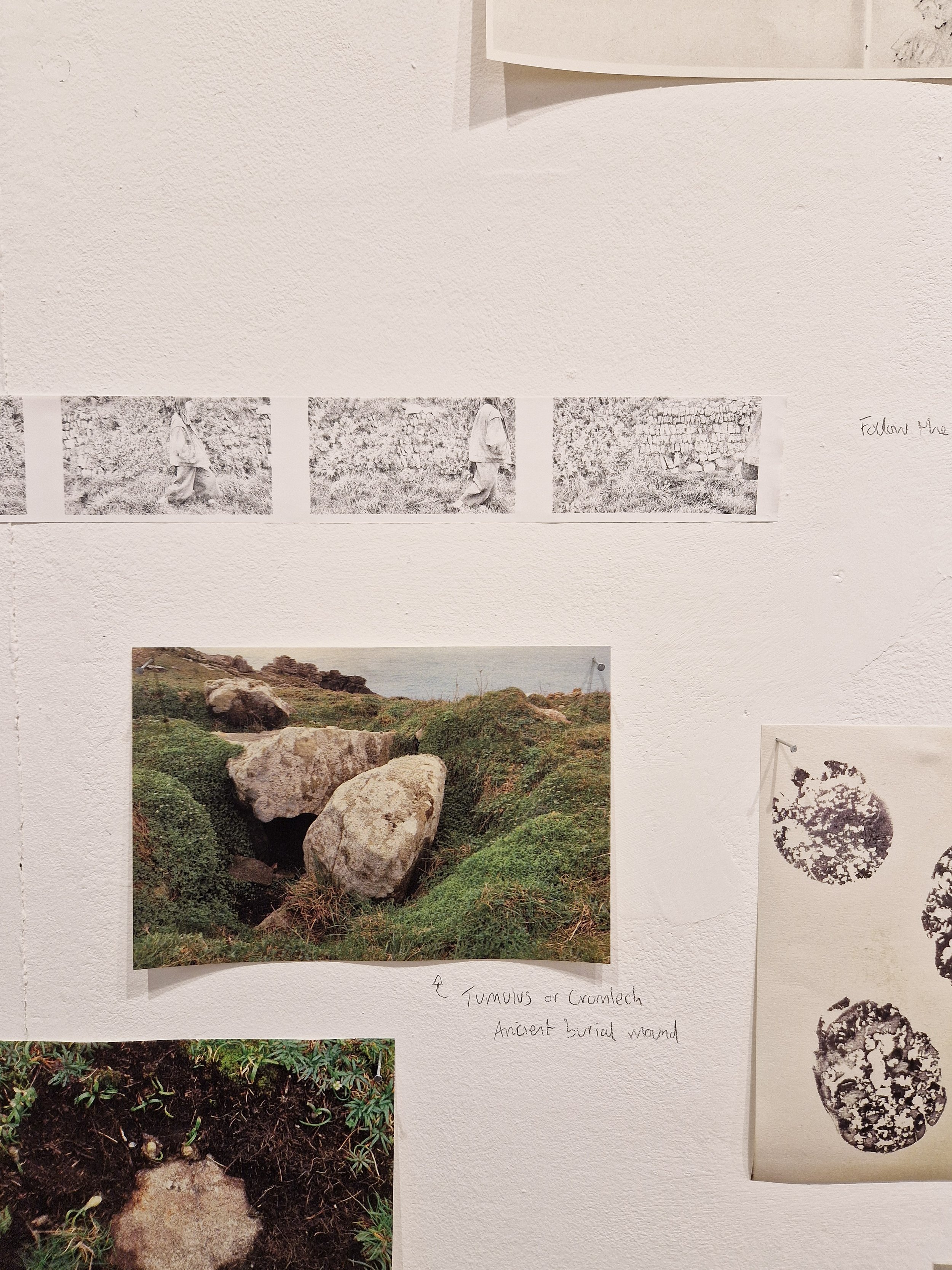 Landing TONER exhibtion Ella Thomson-08.jpg