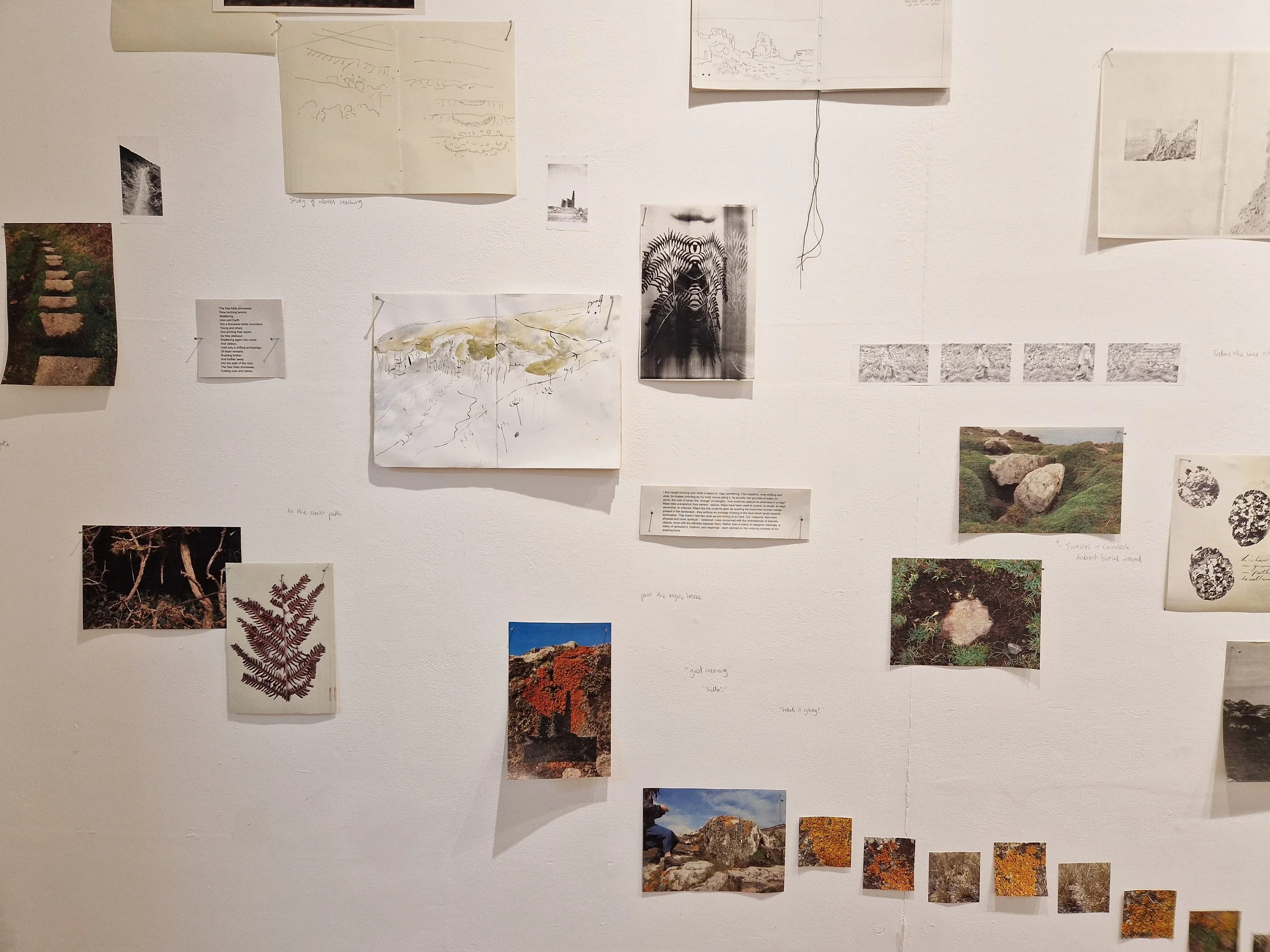 Landing TONER exhibtion Ella Thomson-10.jpg