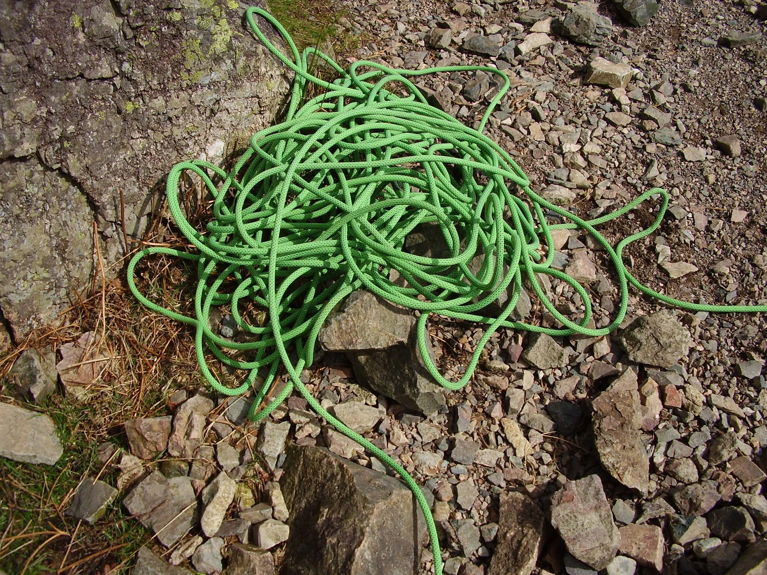 P4010009.JPG