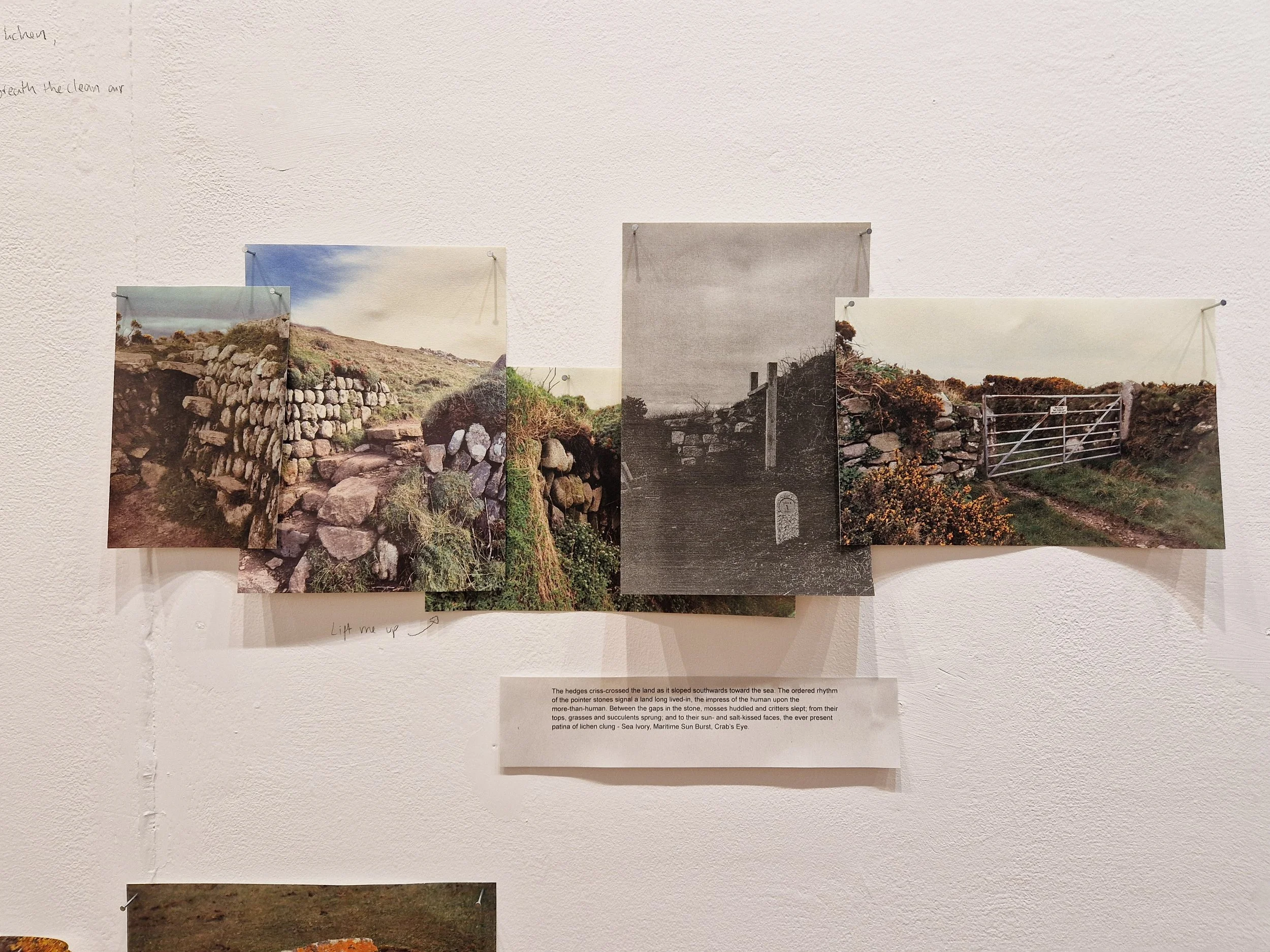 Landing TONER exhibtion Ella Thomson-14.jpg
