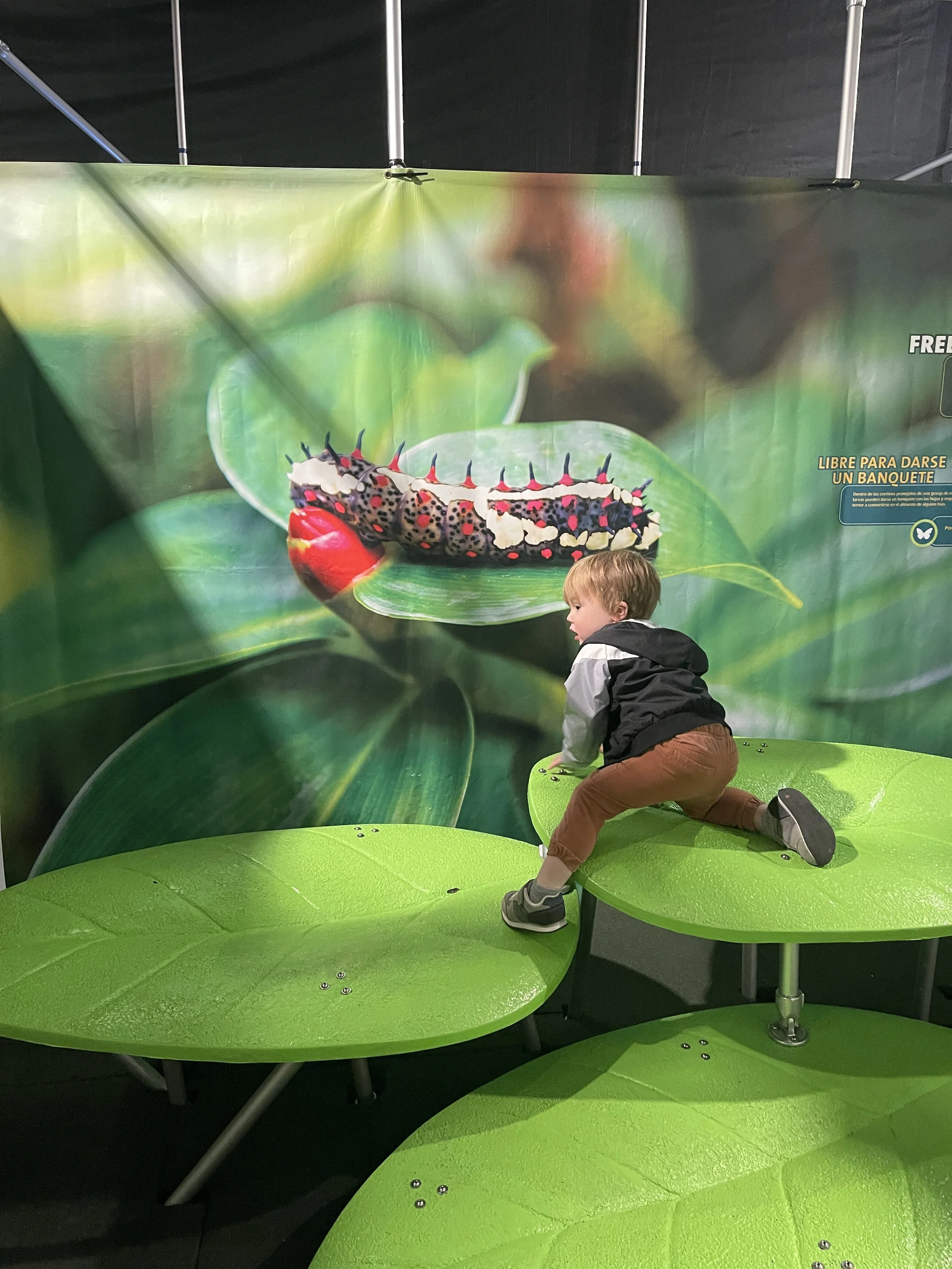 Free things to do with kids in Midland this Spring