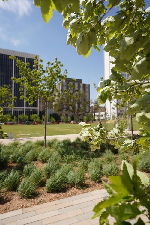 Centennial Park green space in Midland