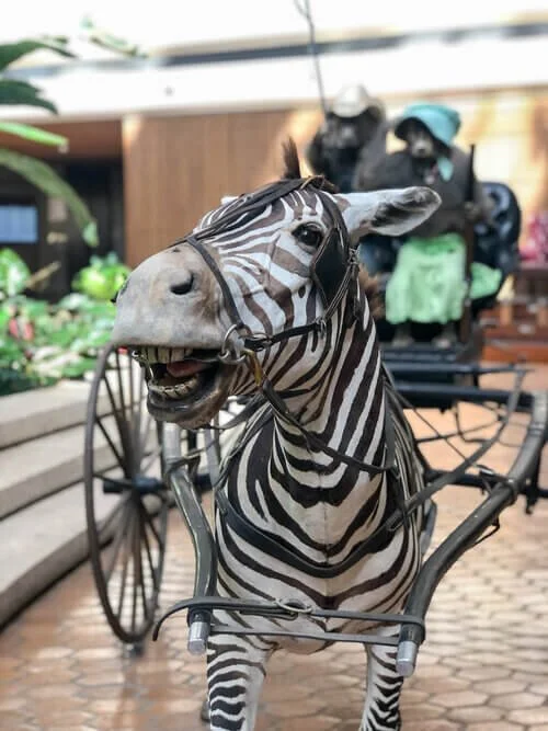 taxidermy at Juji's Kitchen
