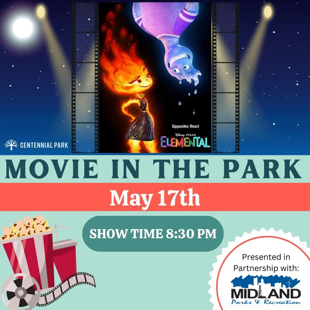 Movie in the Park - Elemental