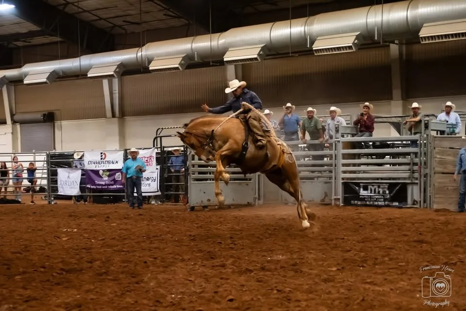15th Annual Midland County Fair
