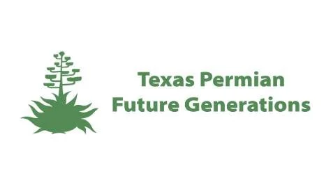 Board Games and Card Games