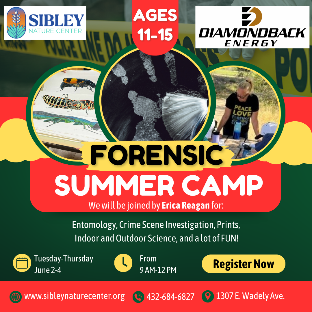 Forensic Science Camp