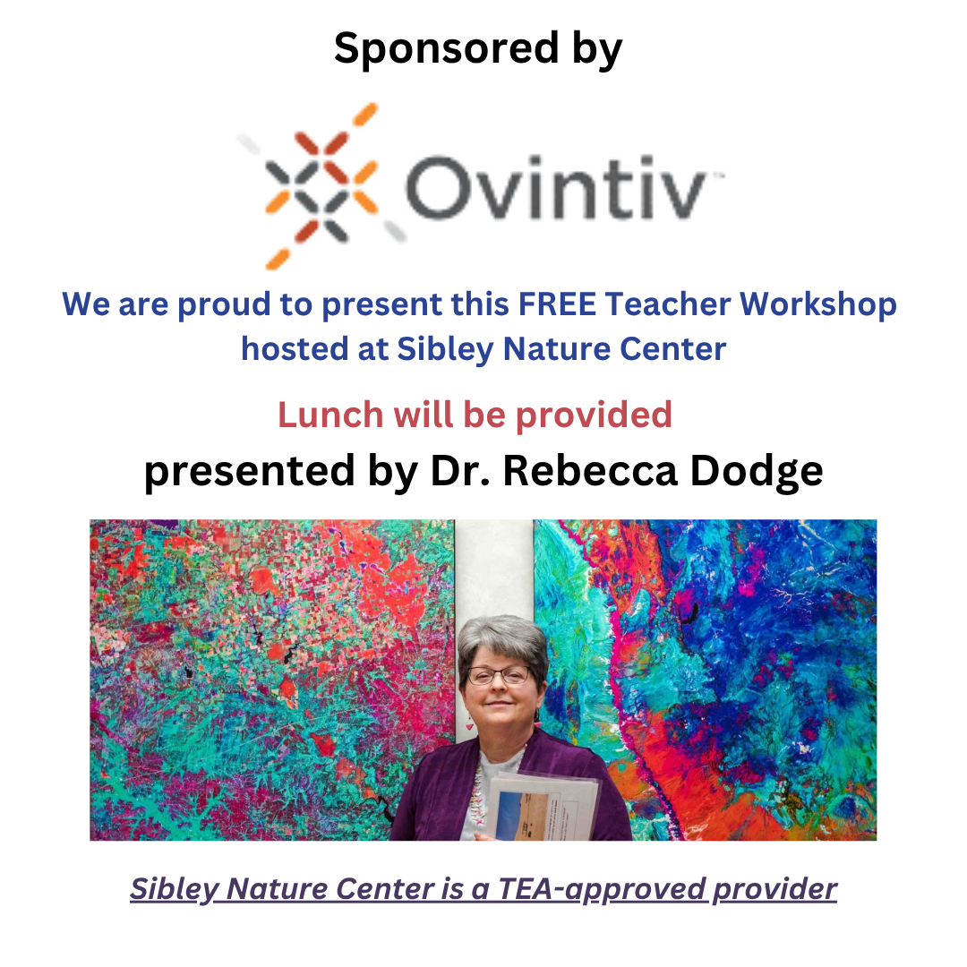 Texas as Art – Teacher Workshop