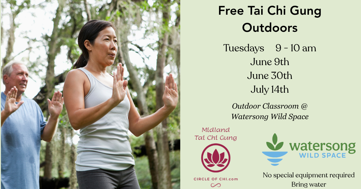 Free Tai Chi Gung at Watersong Wild Space