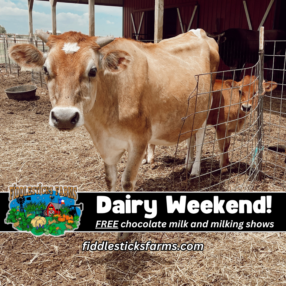Fiddlesticks Farms Dairy Weekend — MIDLAND AF