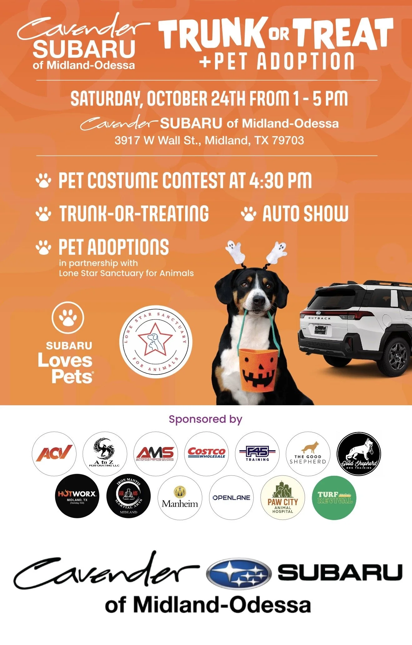 Cavender Subaru Trunk or Treat