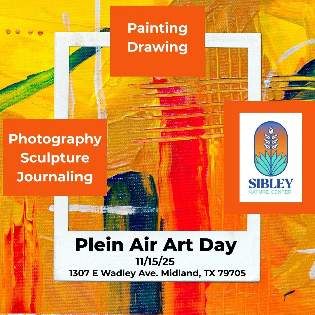 Plein Air Day at Sibley Nature Center