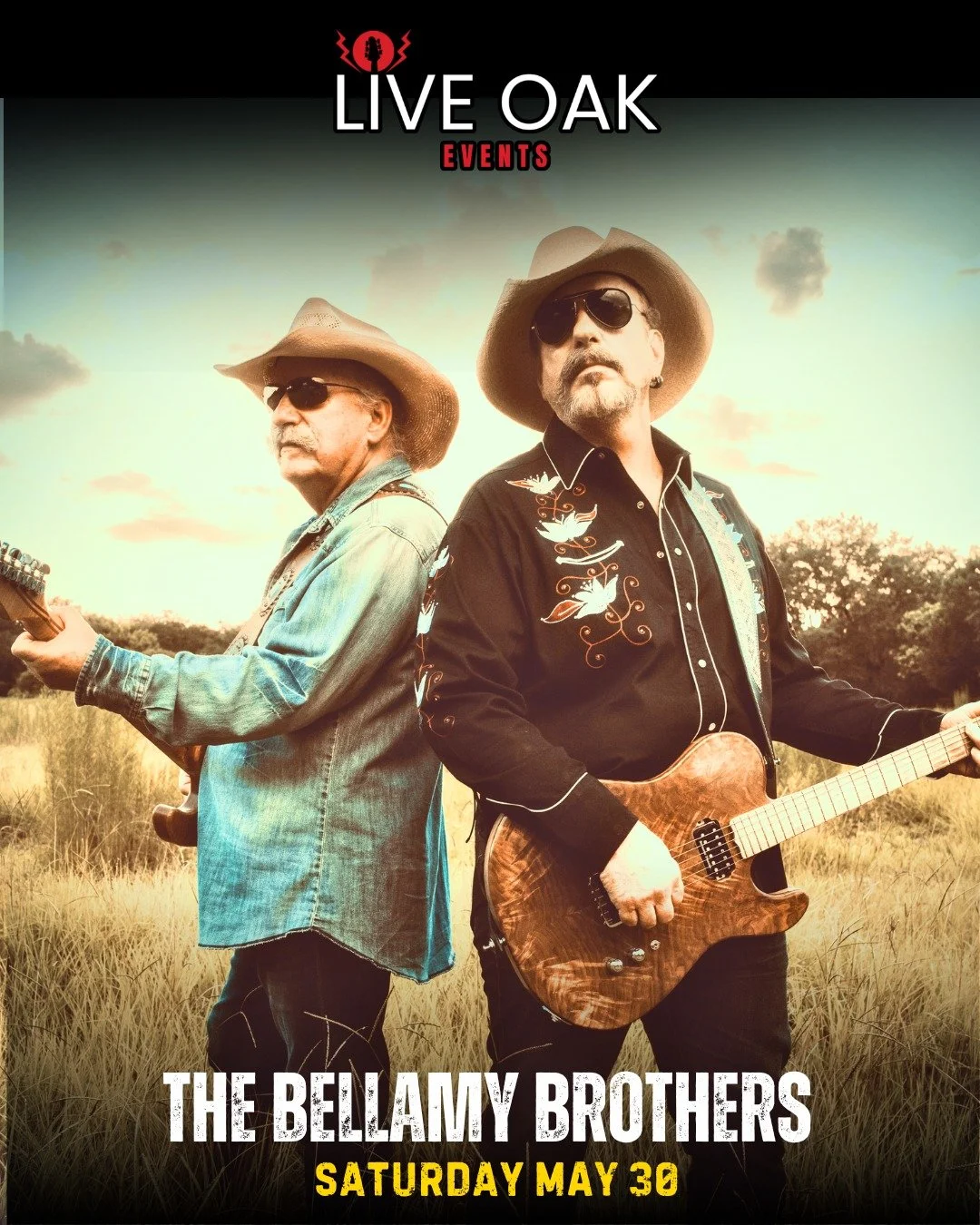 The Bellamy Brothers Live in Concert