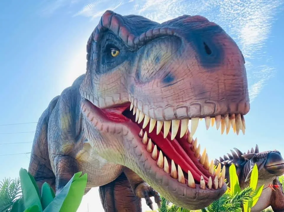 All Star Week in Midland