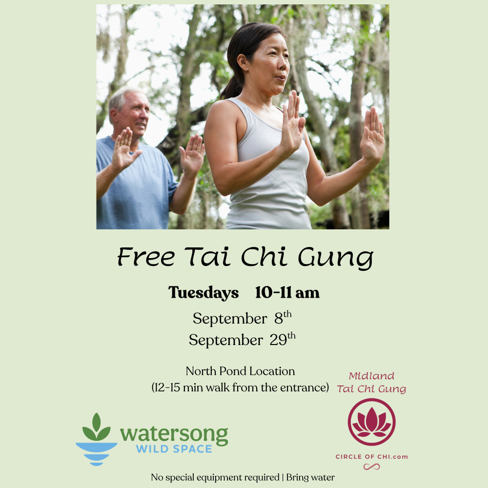 Free Tai Chi Gung Class at Watersong Wild Space