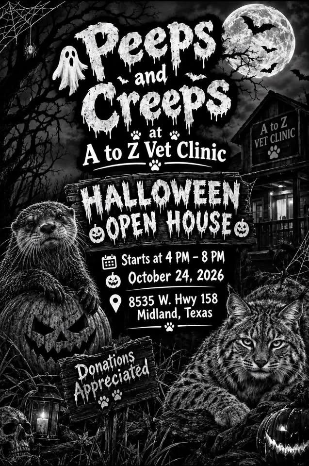 Peeps and Creeps Halloween Open House