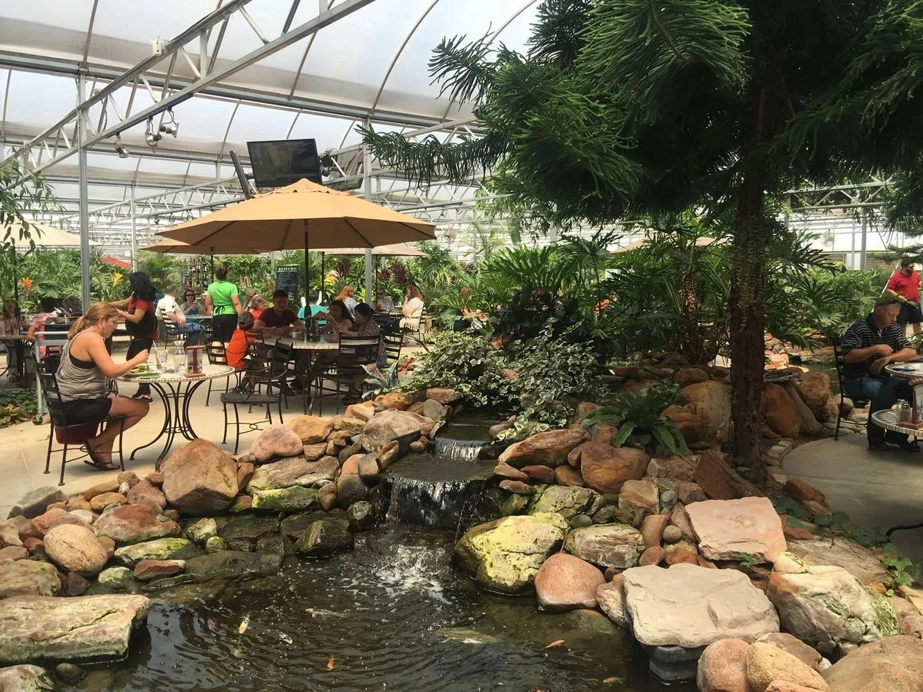 Thursday Night Dinner and Live Music — MIDLAND AF