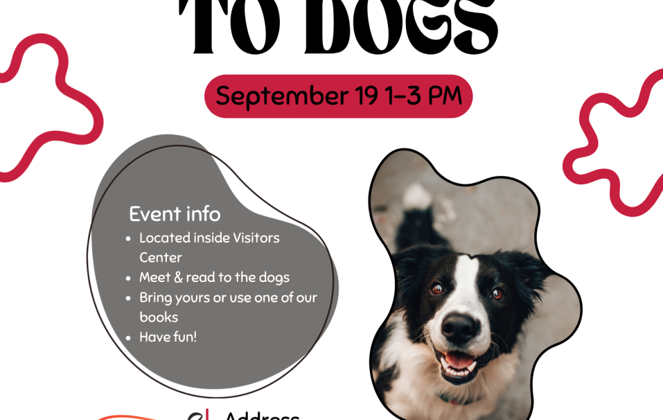 Kids Reading to Dogs