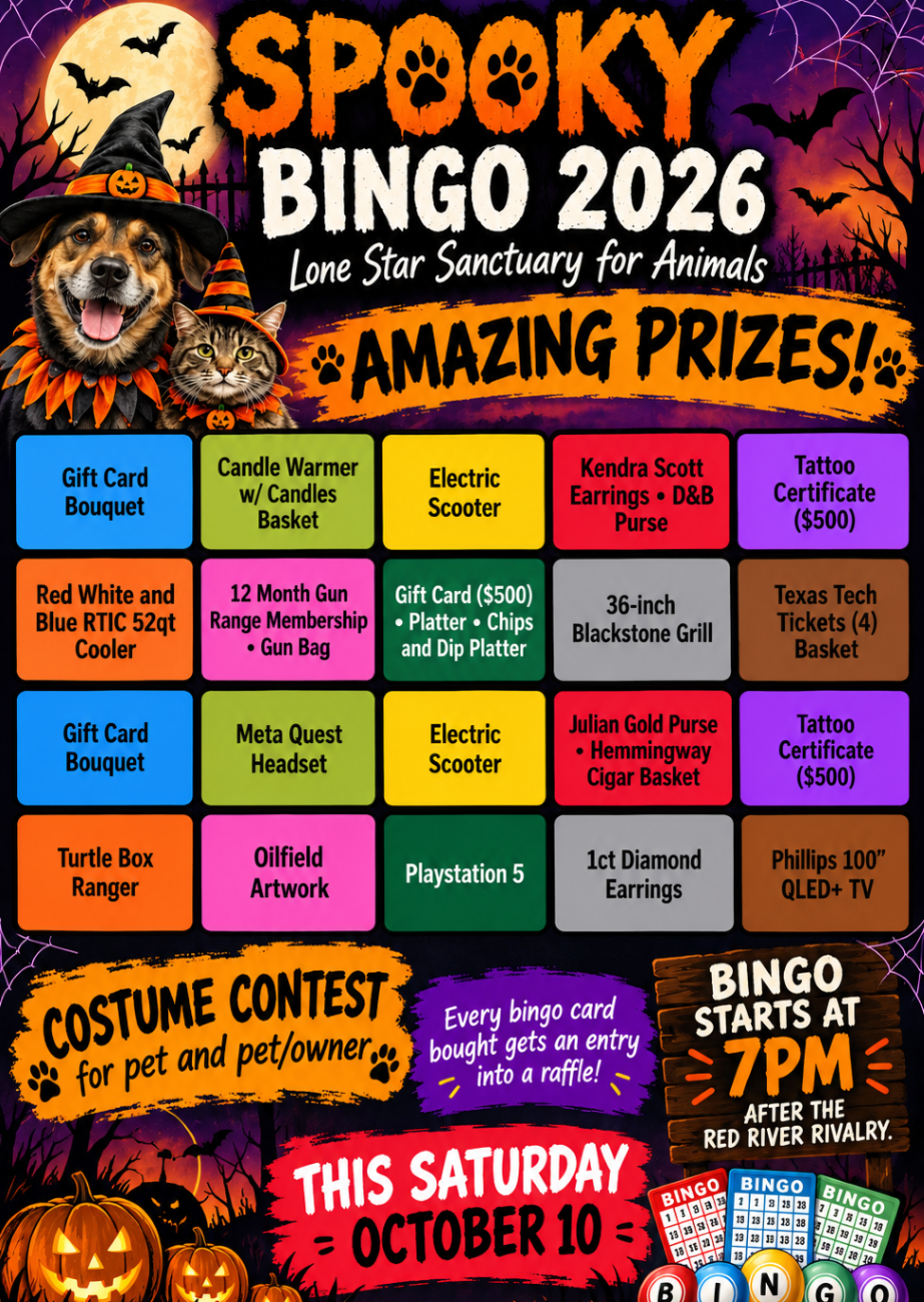 Spooky Bingo