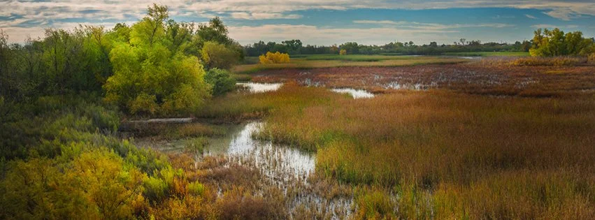 Women’s nature walk at Watersong
