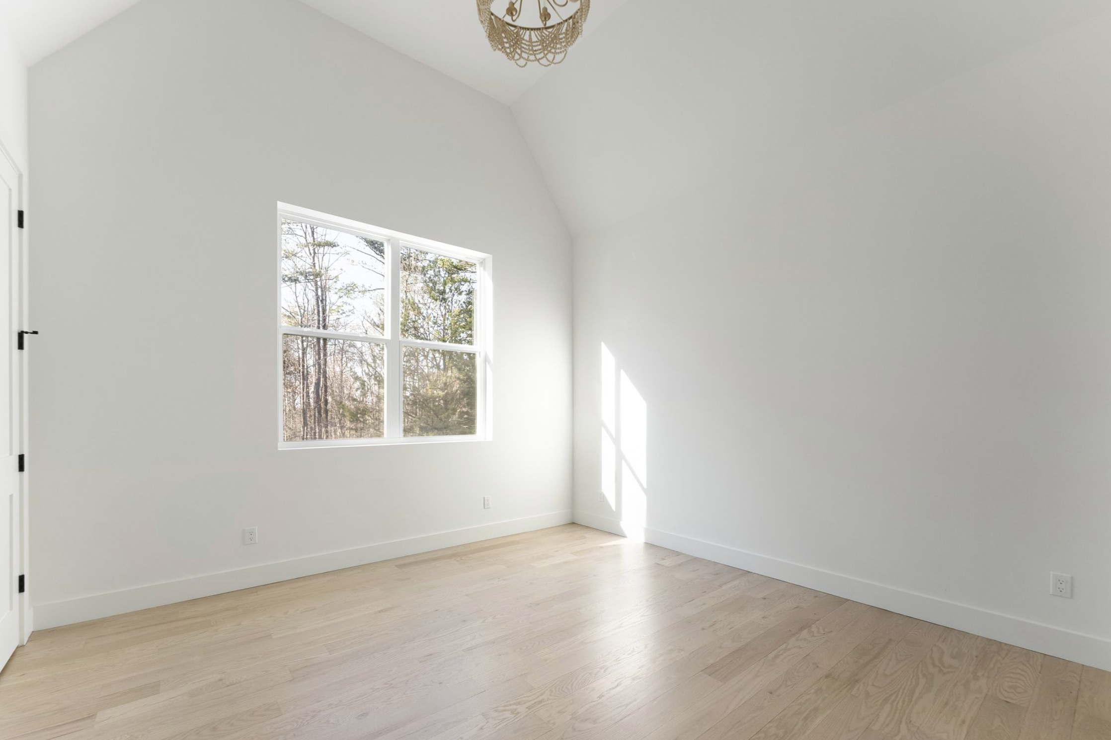 Screenshot 2026-02-23 at 4.11.06 PM.png