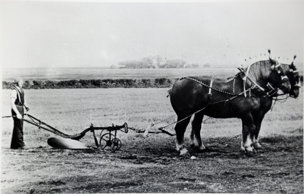 Ploughing a straight furrow