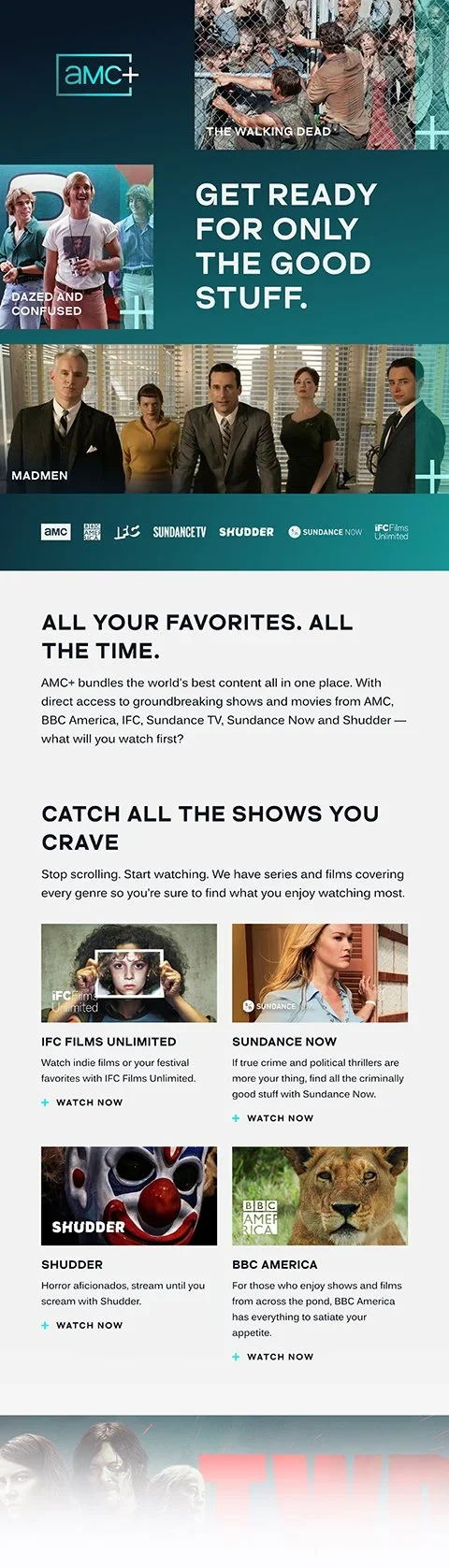 AMCplus_Email1-2_portfolio.webp