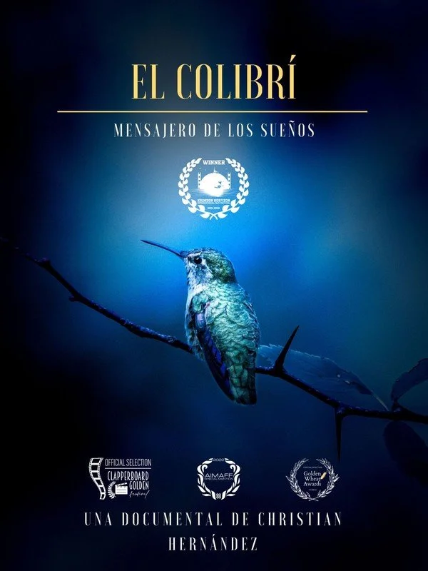 Review for THE HUMMINGBIRD