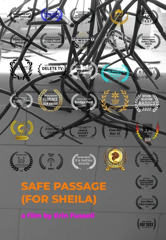 Review for Safe Passage (for Sheila)