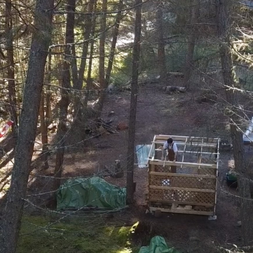 Oops&hellip; forgot to mention there&rsquo;s a new vlog up on our channel!

Winter&rsquo;s coming, so the new woodshed gets a mini glow up in preparing.

Enjoy!