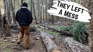 Is Building a Trail Worth the Effort with Our New Tool?