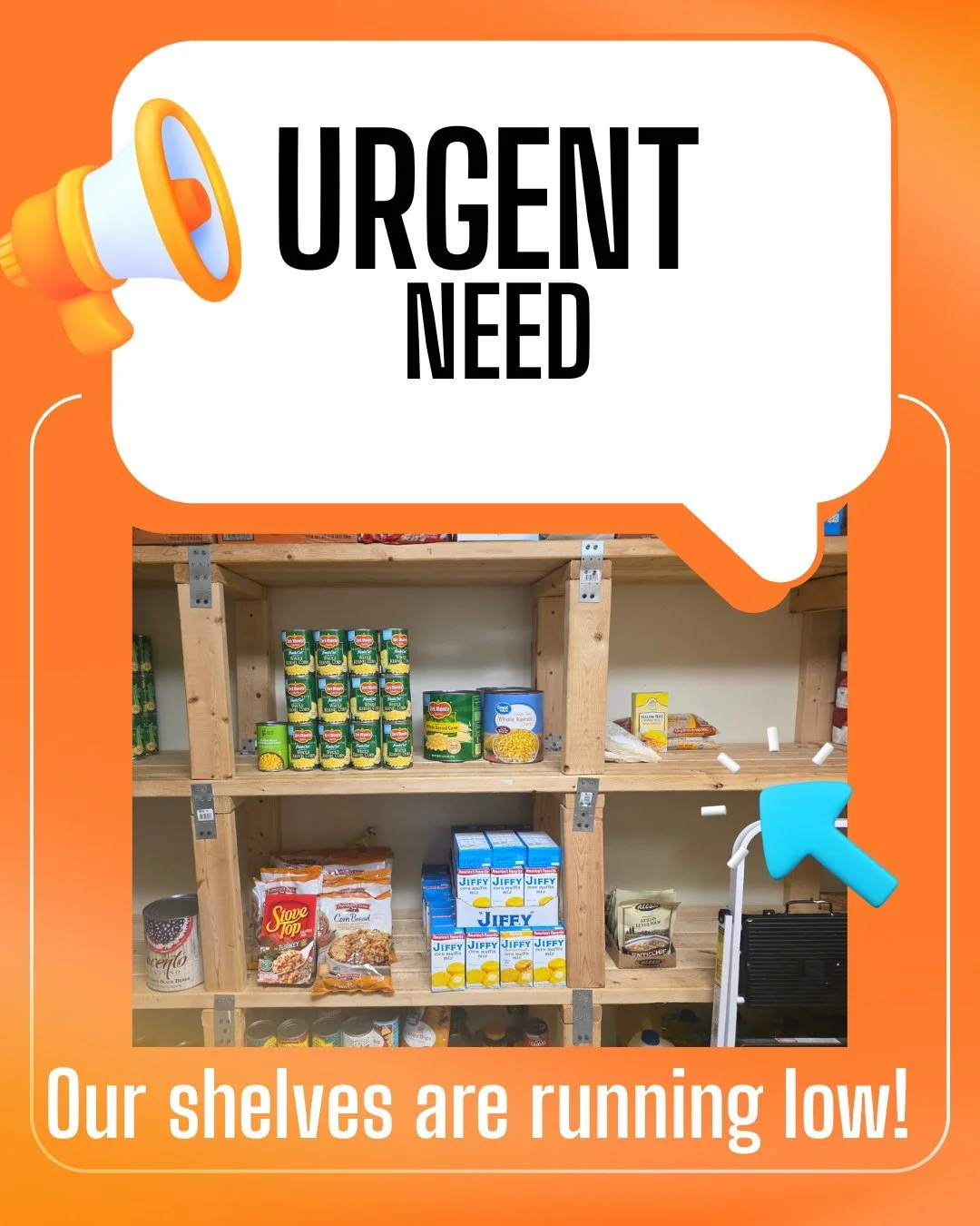 Our pantry shelves are running low, and we need your help! As the heat intensifies, more individuals seek refuge in our shelters, increasing the number of people we serve and feed each day. Right now, New Directions is in urgent need of canned green 