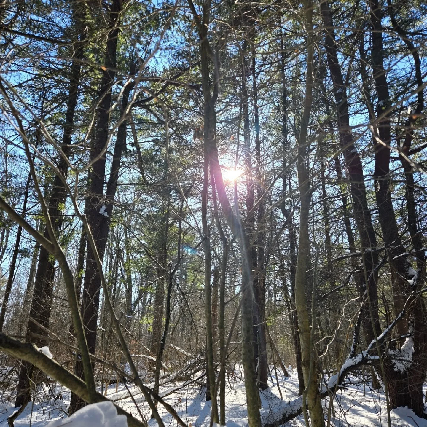 As hard as it can be to motivate yourself to get outside in the winter, chances are you will feel a little better after taking the time to try it. 
Bonus if the sun is out like it was all day today! ☀️❄️🤍
