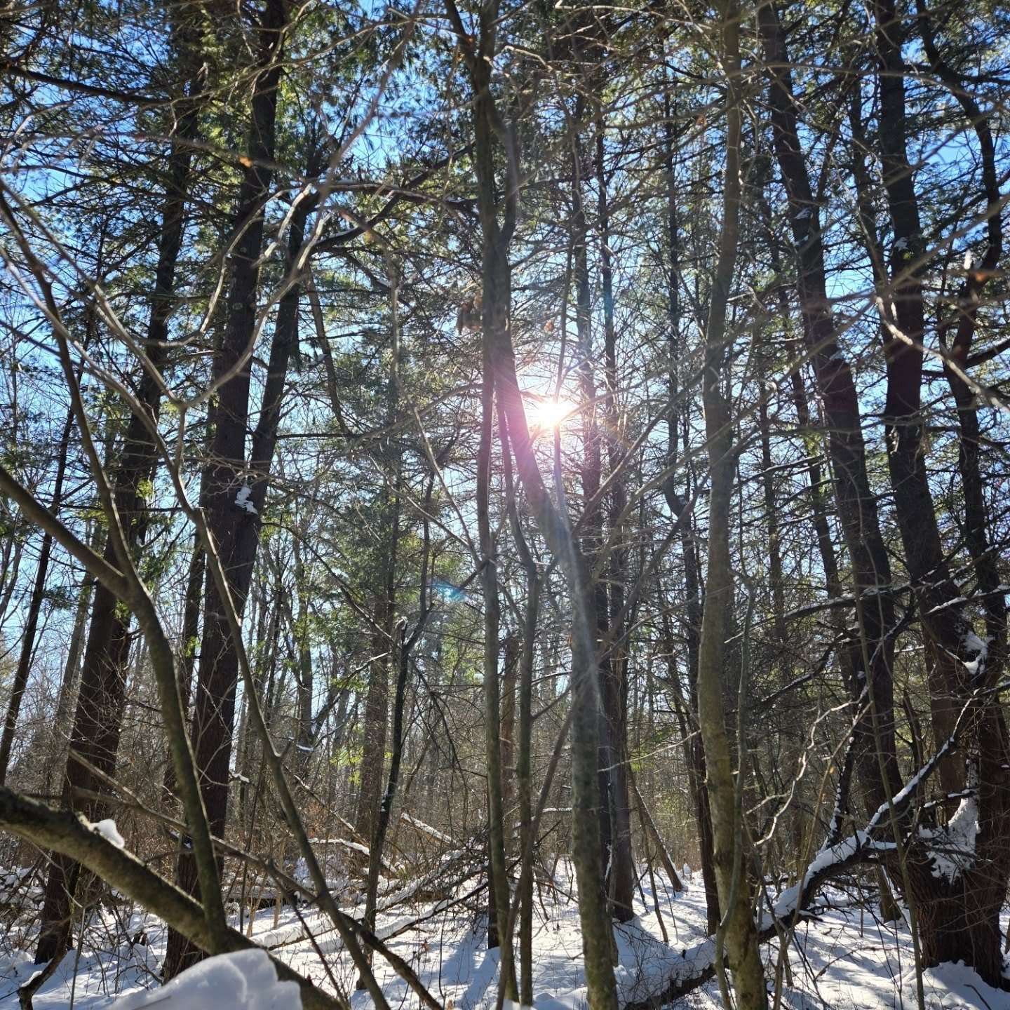 As hard as it can be to motivate yourself to get outside in the winter, chances are you will feel a little better after taking the time to try it. 
Bonus if the sun is out like it was all day today! ☀️❄️🤍