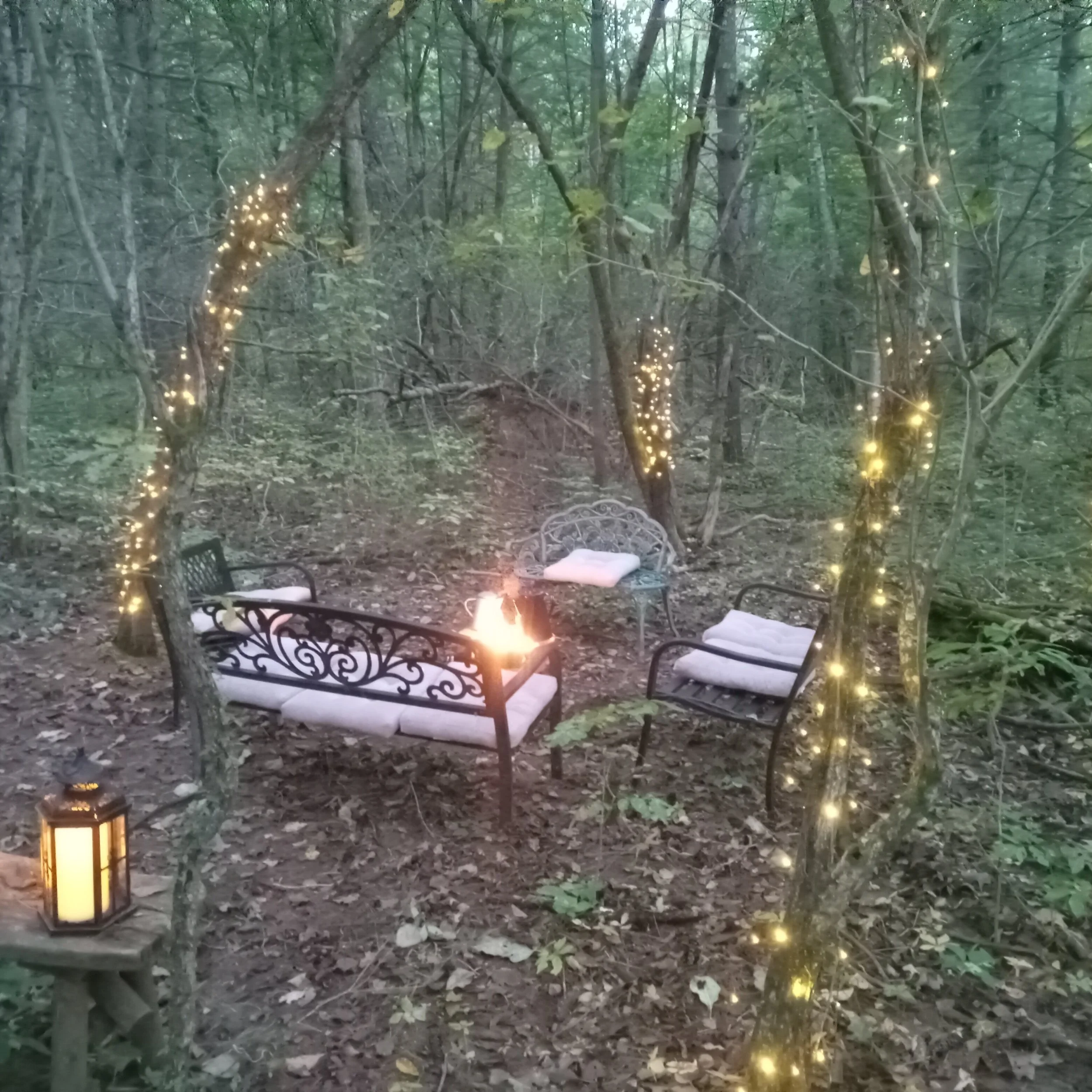 Thanks so much to Tobi Couture and Amy's Relation To Creation and Botanicals for bringing yoga, forest bathing and tea together on a beautiful October evening 🍂✨🧡🍁