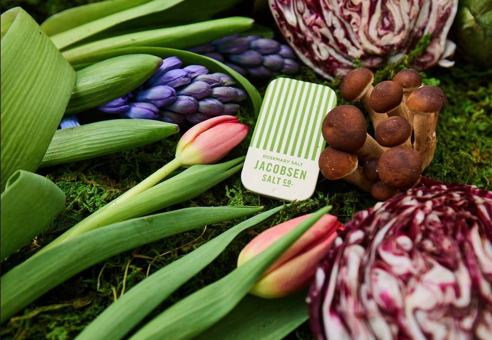 Screenshot 2025-03-31 at 2.27.44 PM.png