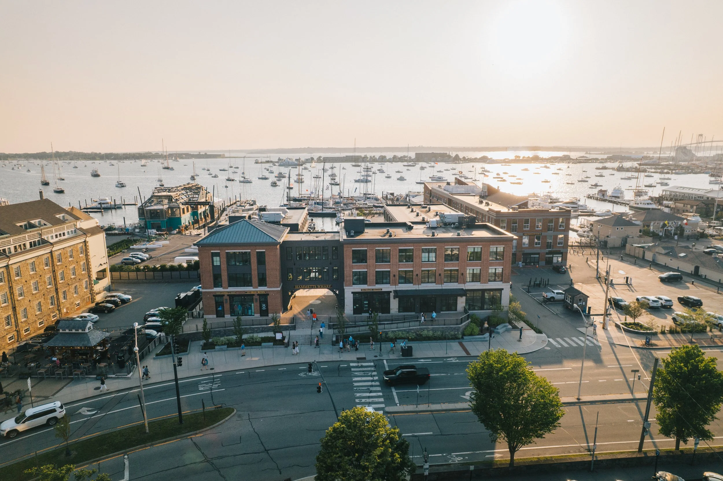 Hammetts Drone-9.jpg