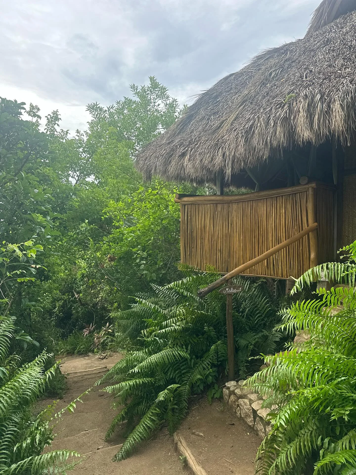 Sanar Y Conectar 2025 ☀️🌴 🤍

Cada experience me trae algo diferente. Este retiro me dio un chance desconectar de mi tel&eacute;fono y conectar profundamente con la naturaleza, mi propio ser, y un grupito incre&iacute;ble.

Que bonito coincidir. Muc