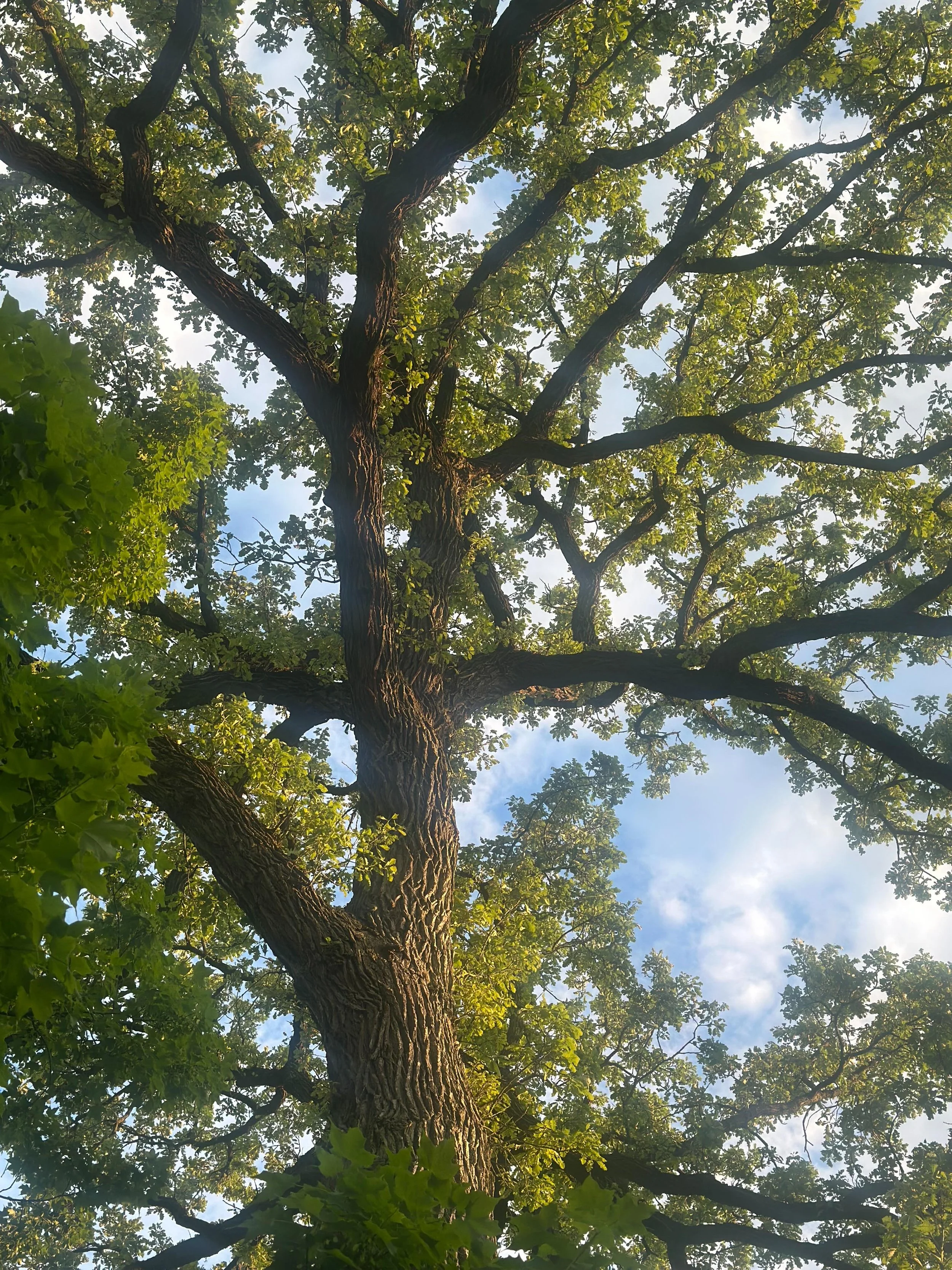 I spent a month somewhere totally new.

Things I did:
Practice yoga (a lot, in a lot of ways).
Make really wonderful new friends and connections.
Feel safe and settled in community.
Walk 10 miles a day for two weeks straight.
Lots of chanting.
Deep b