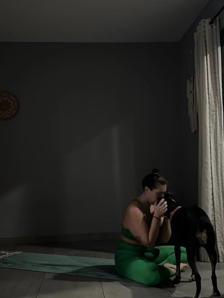 Photo diary of a morning practice. 💚 
Starting and ending with Josefina-asana. 🐶

#yogawithdogs #audreylaneyoga #urdvhadhanurasana #setubandhasana #kurmasana