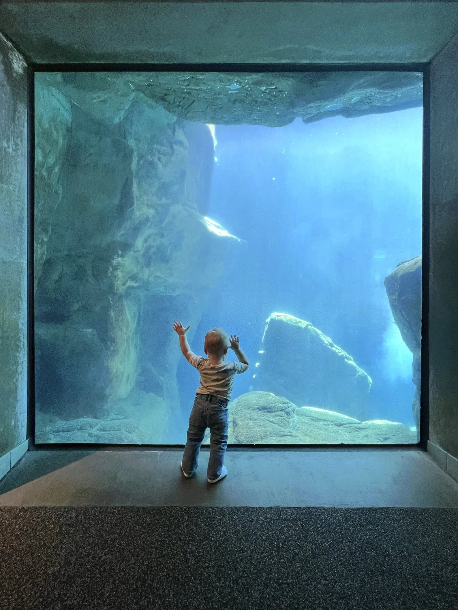 Sara-Tollefson-Mally-6-November-2025_IMG_5634-ocean 2.jpg