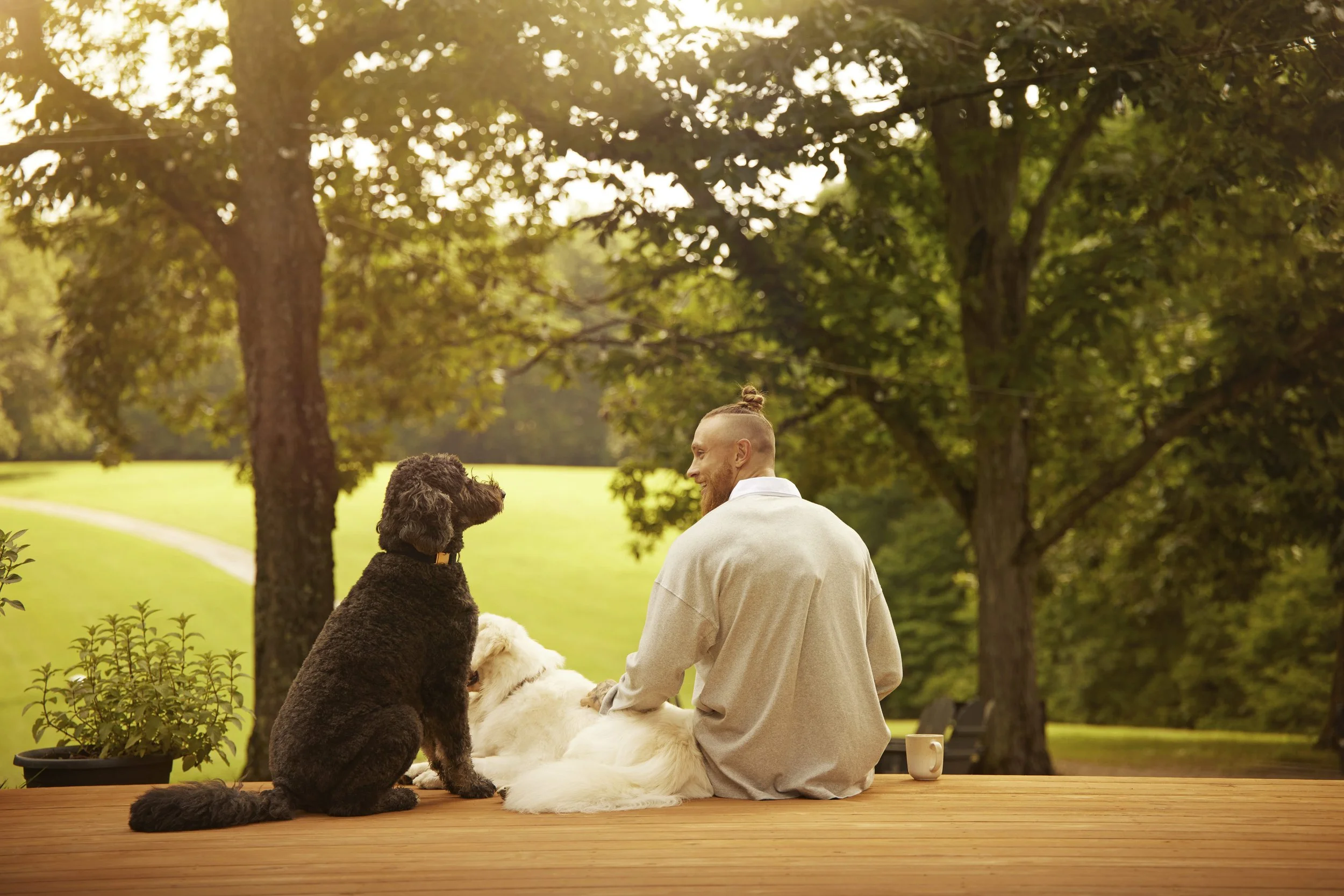 sara-mally-purina--34_GEORGE-BACK-PORCH_4381_V1_rgb.jpg