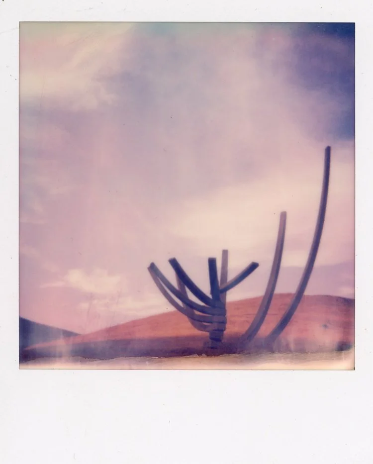 Sara-Tollefson-Mally-Cal-Poly-Architecture-12-October-2023-Polaroid.jpg