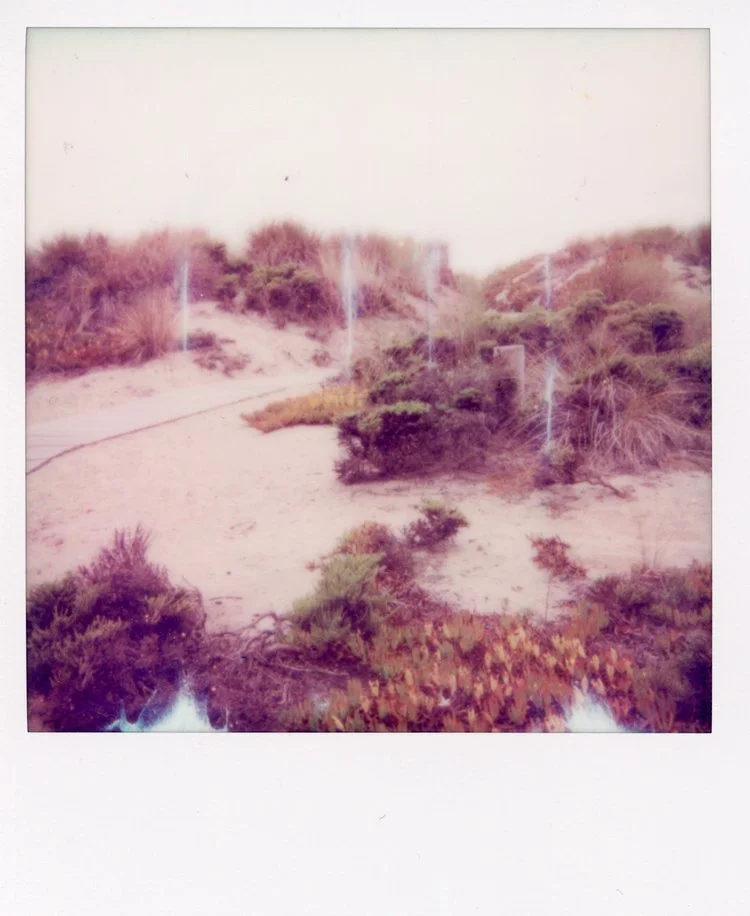 Sara-Tollefson-Mally-Beach-Polaroid-2-12-October-2023.jpg