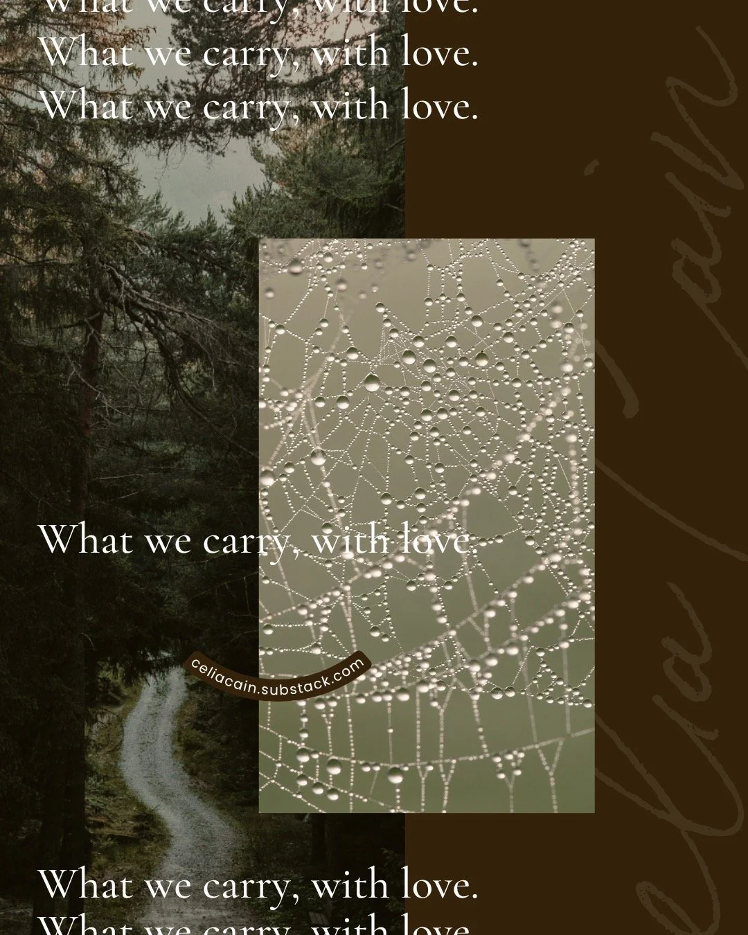 Caregiving changed me.
Not just because of the loss &mdash; but because I gave it everything.
I didn&rsquo;t feel invisible.
I felt emptied.
Like my own needs didn&rsquo;t matter anymore &mdash; because his did. Because our love did.
That kind of car