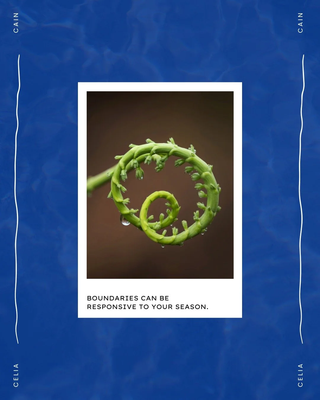 Not everything you carry is yours to hold.
Not every boundary needs noise to be clear.
Lately, I&rsquo;ve been choosing a gentler rhythm &mdash; and helping others do the same.
If your energy feels scattered, or you&rsquo;re leaving conversations hea