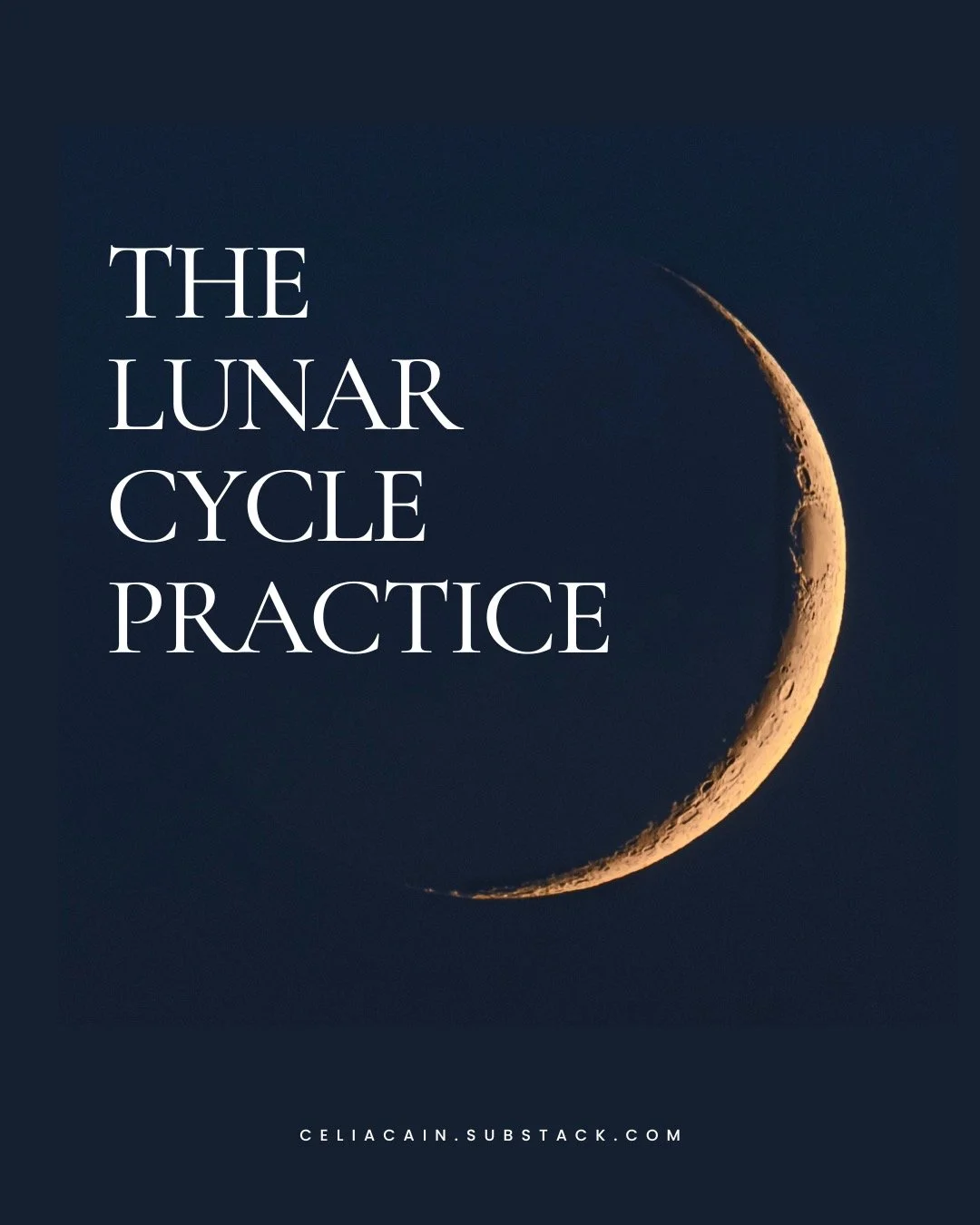 Spring equinox brings real energetic and physiological momentum. Our bodies respond to increasing light.

You can feel it as more energy and a pressure to decide what&rsquo;s next. Most people use that momentum too quickly, trying to decide everythin