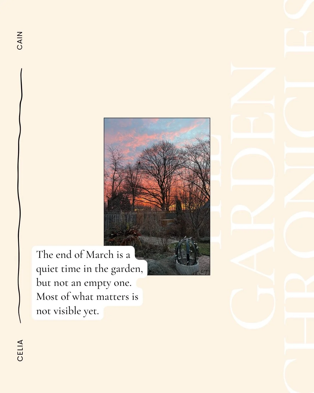 March is a difficult time to read a garden.
There are signs everywhere&mdash;buds, bare branches, blackened canes&mdash;but very little certainty.
Last year I dug up a clematis because I thought it was dead. As I lifted it, I saw new growth just bene